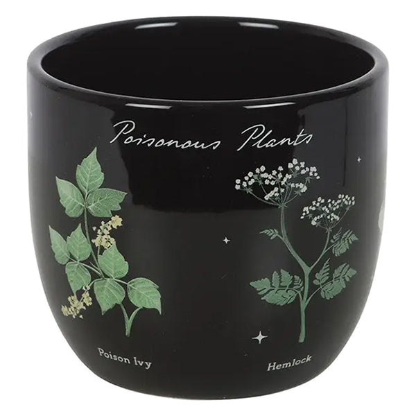 Something Different Poisonous Plants plant pot