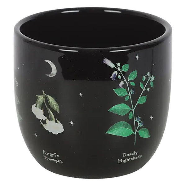 Something Different Poisonous Plants plant pot