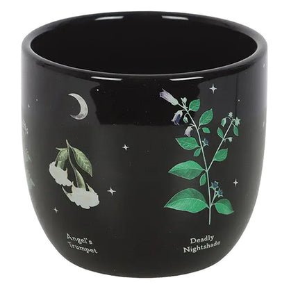 Something Different Poisonous Plants plant pot
