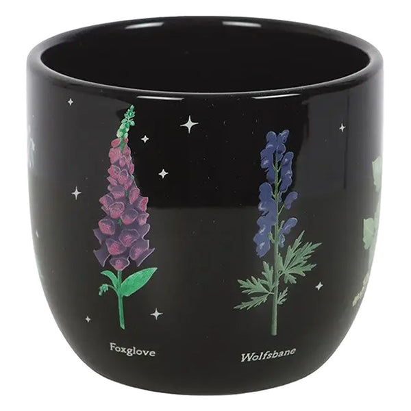 Something Different Poisonous Plants plant pot