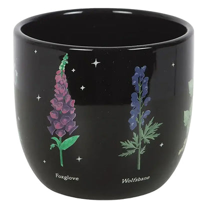 Something Different Poisonous Plants plant pot