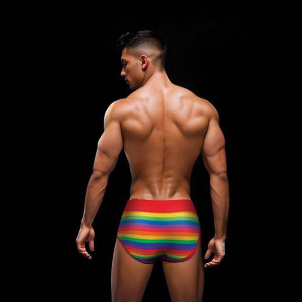 ENVY Rainbow & Pride red  briefs