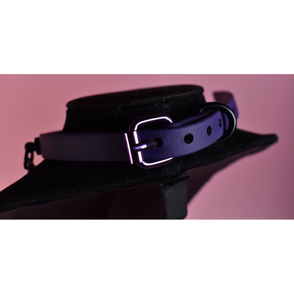 Naughty Pawsies Purple Heart choker