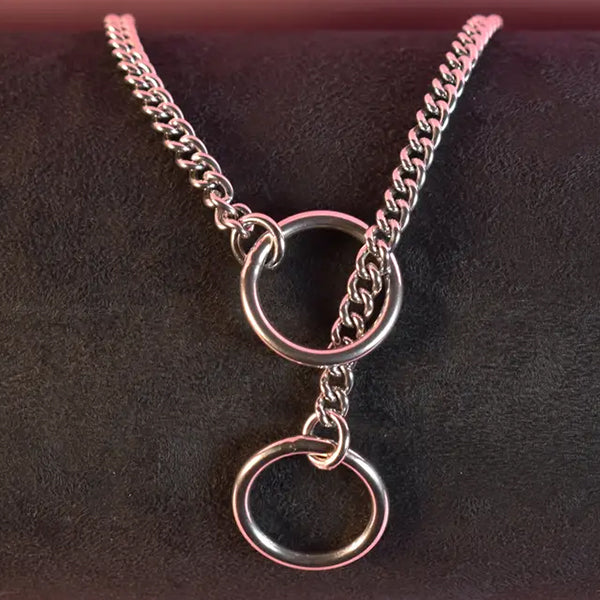 Naughty Pawsies Silver Round choker