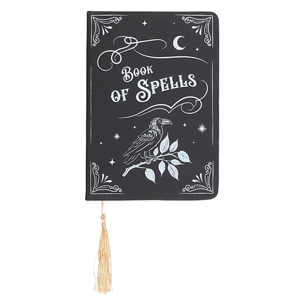 Something Different Raven Book Of Spells A5 notebook