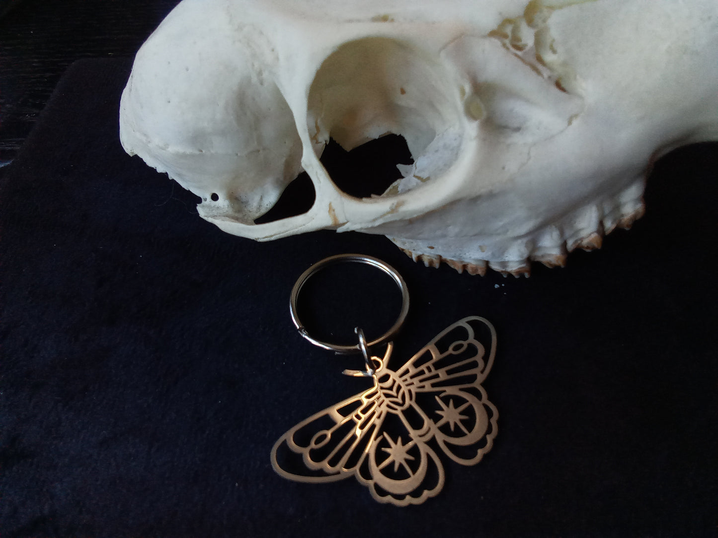 Blacbutterflies moon moth keyring